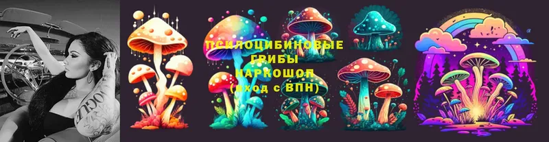 Галлюциногенные грибы GOLDEN TEACHER  Новоульяновск 